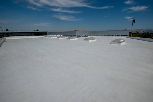 Best Gutter Installation and Repair  in Belvedere, SC