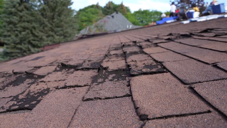 Best Chimney Flashing Repair  in Belvedere, SC