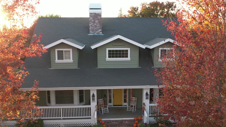 Best Sheet Metal Roofing  in Belvedere, SC